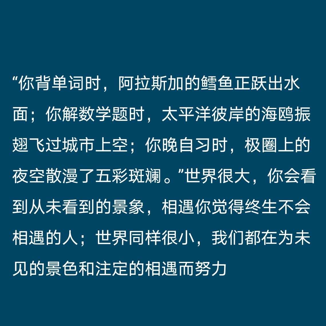 TNT专属收藏
