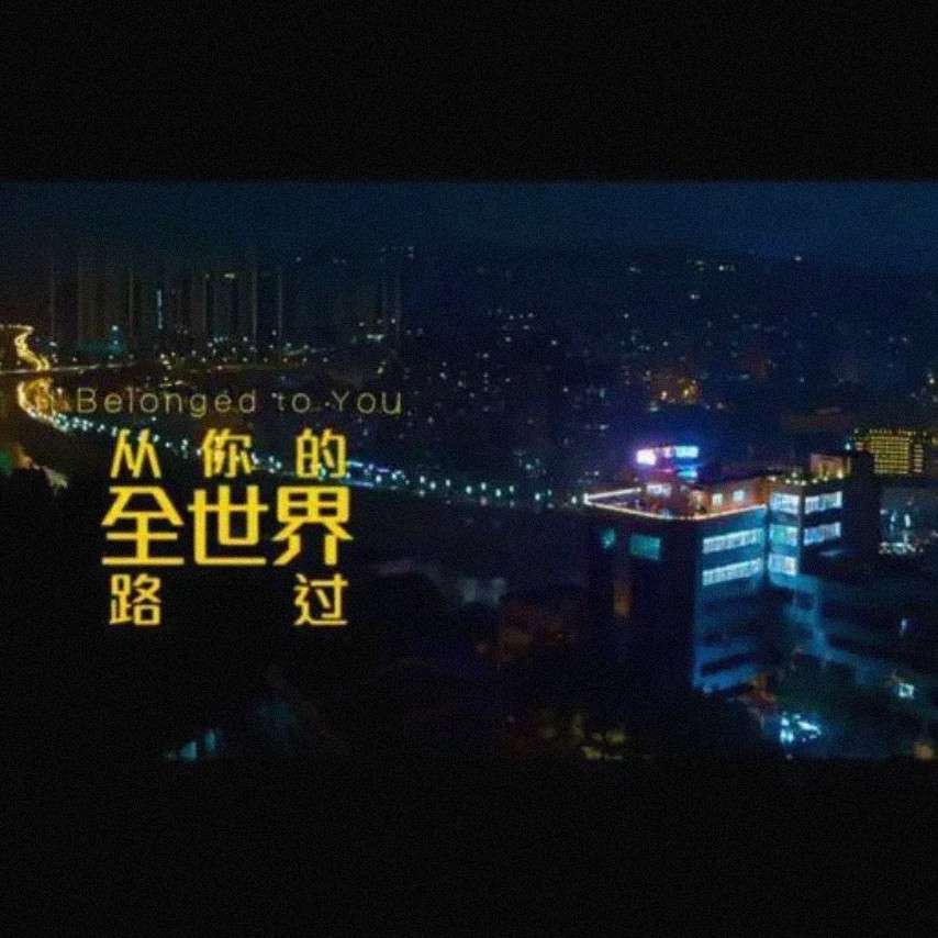 电影《从你的全世界路过》