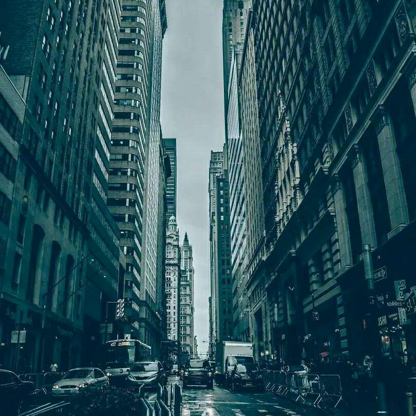途经顽世风烟