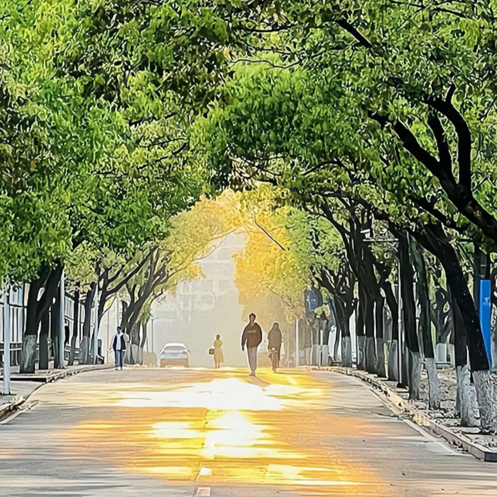 触动自己