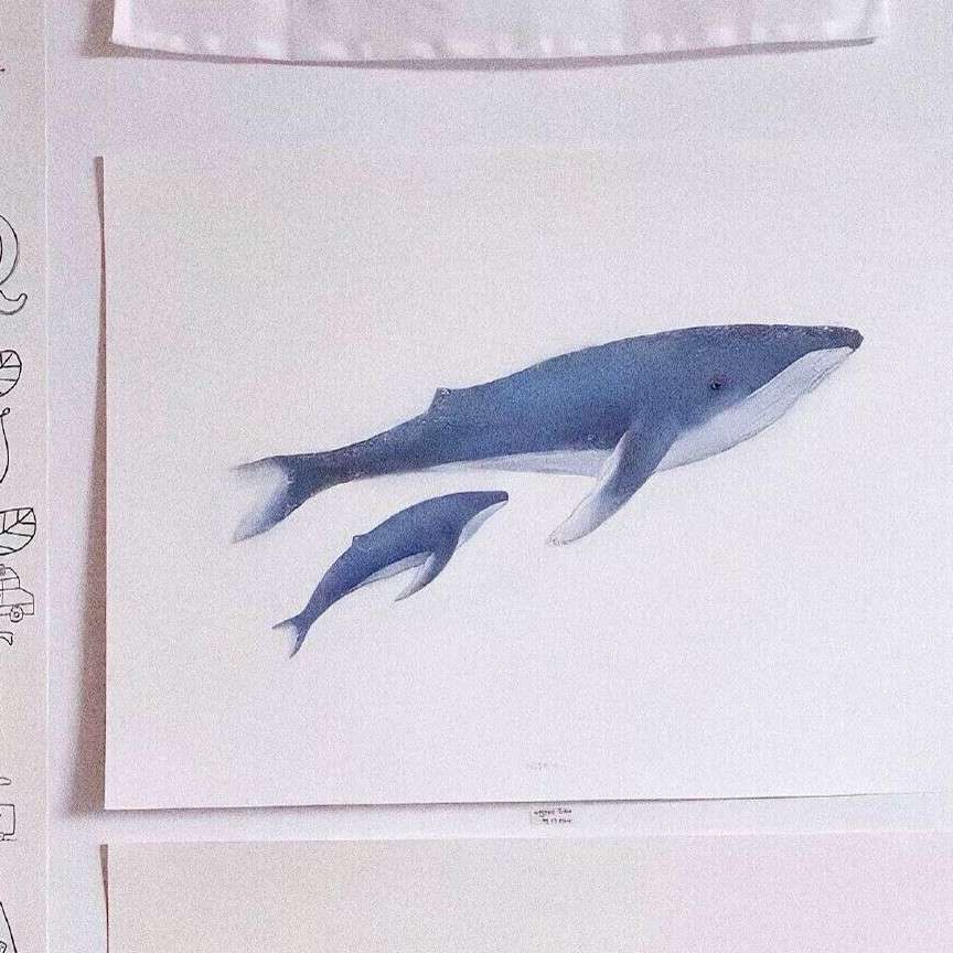 虽青的专辑