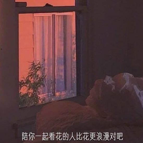 love( •͈ᴗ⁃͈)ᓂ- - -♡﻿