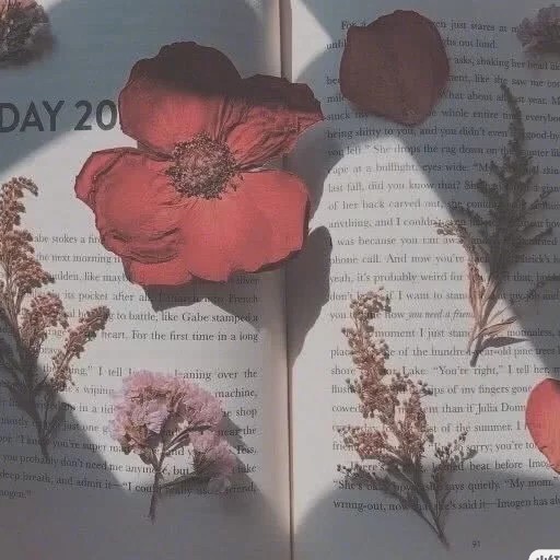 治愈