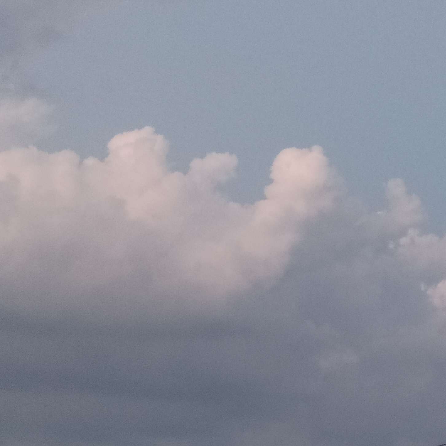 收录的