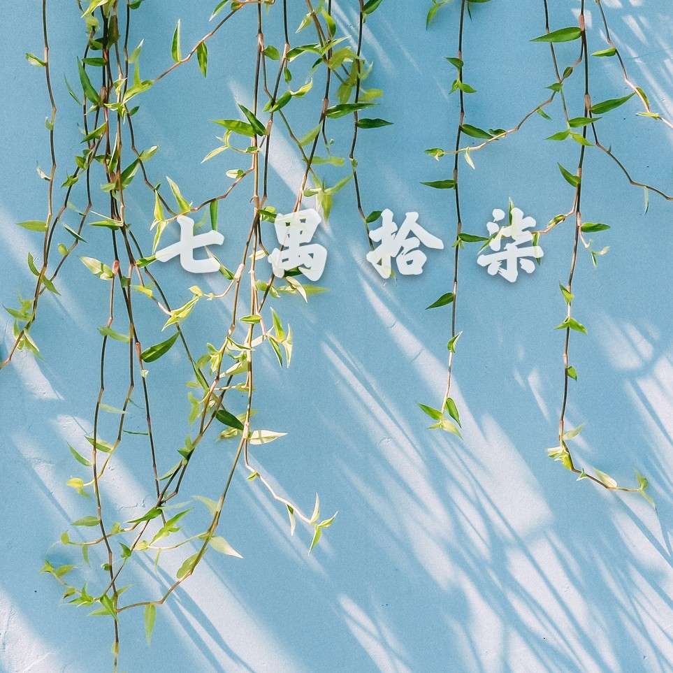 七禺拾柒