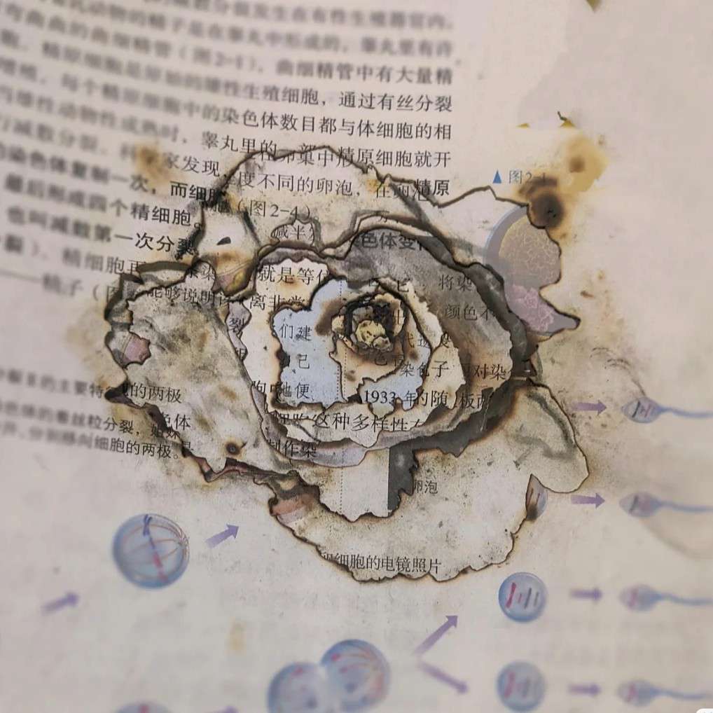 学习至上
