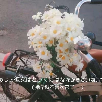 祁安一的专辑