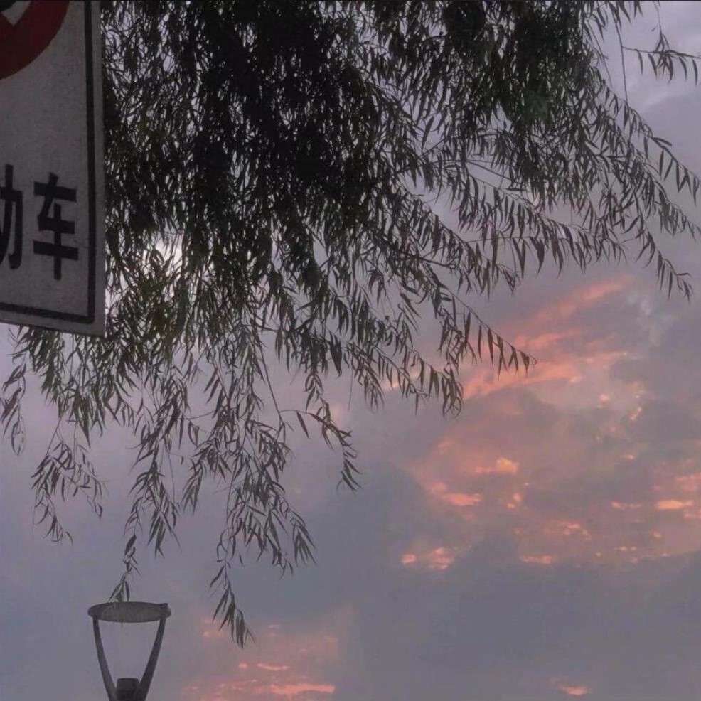 电影影