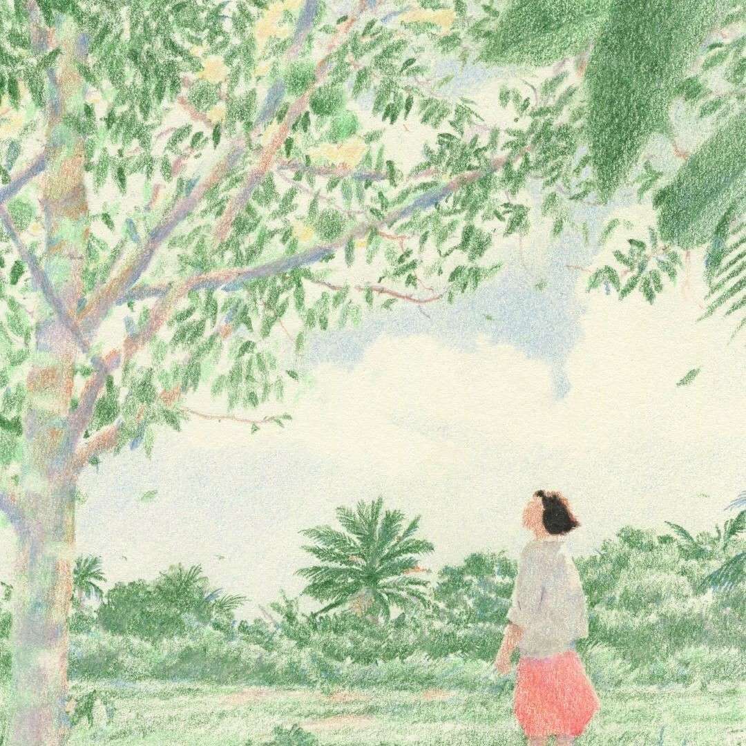 理解