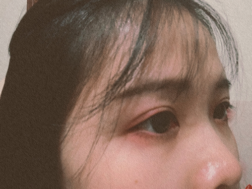 味蕾的专辑