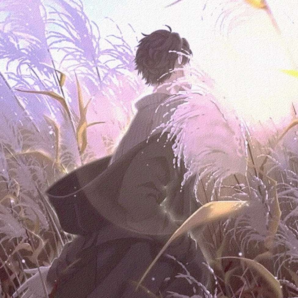 描写