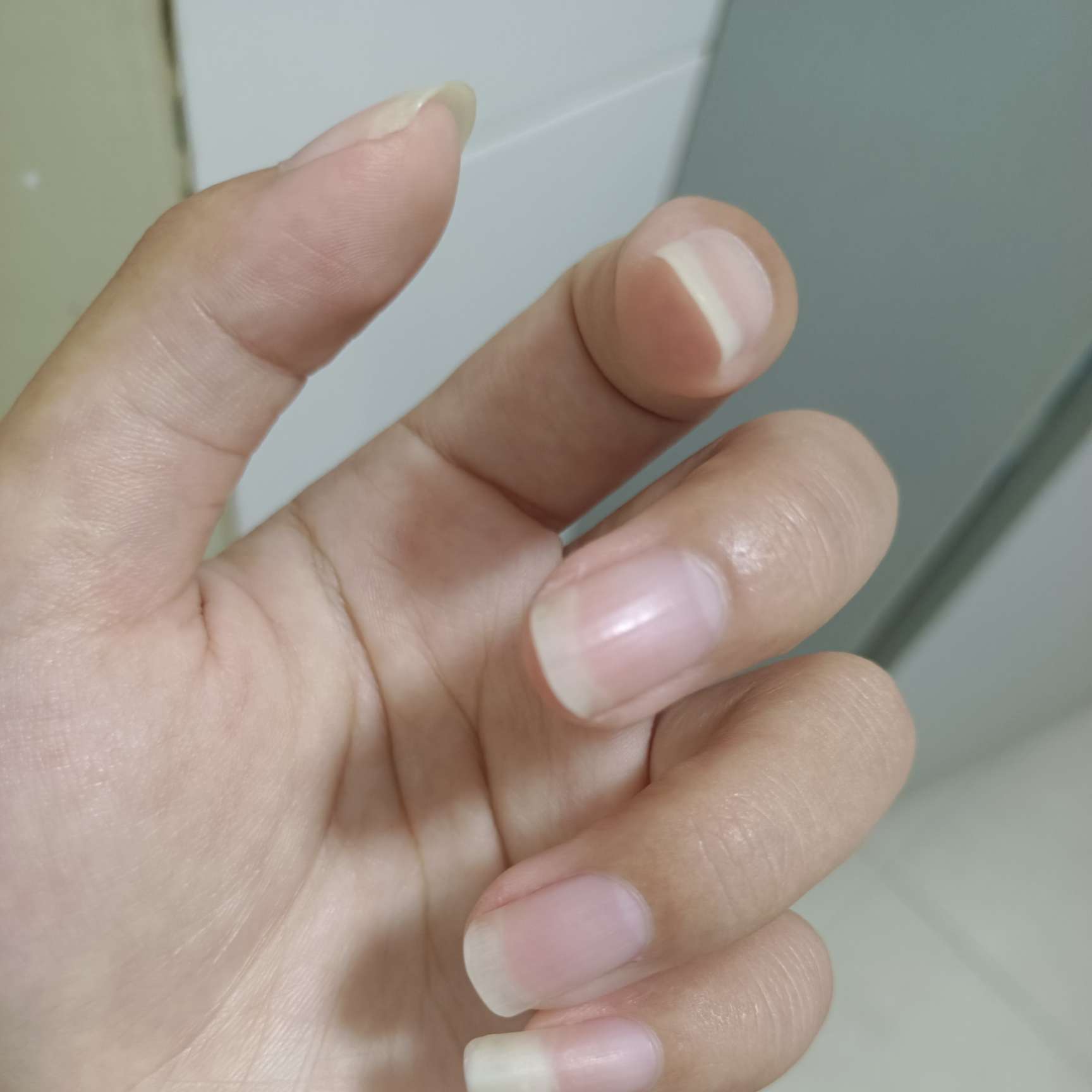 是喜欢叭