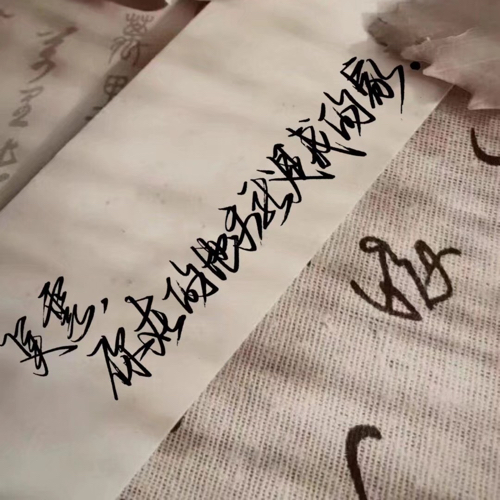 沉我爱欲。/短句