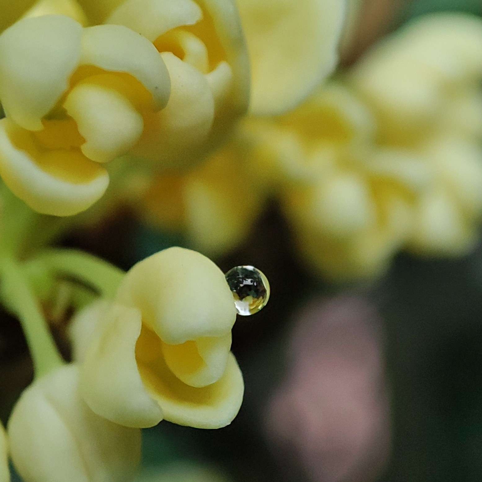 分类：意境