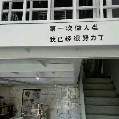zz专辑