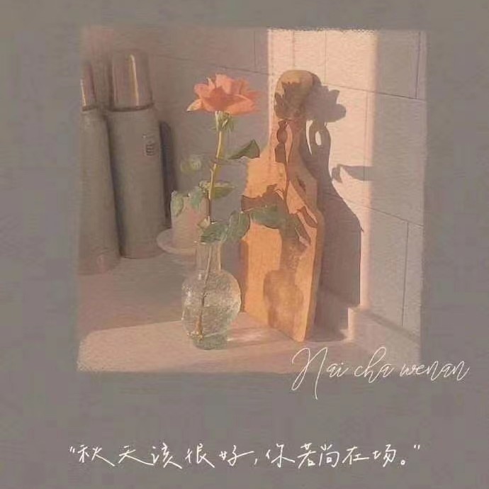 转载摘选集