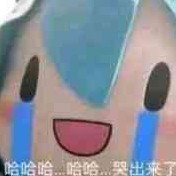 芸云云云云