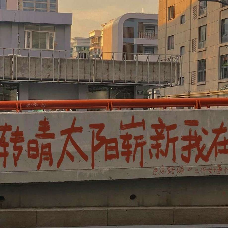 阳光