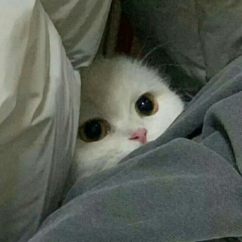 一朔茗的专辑