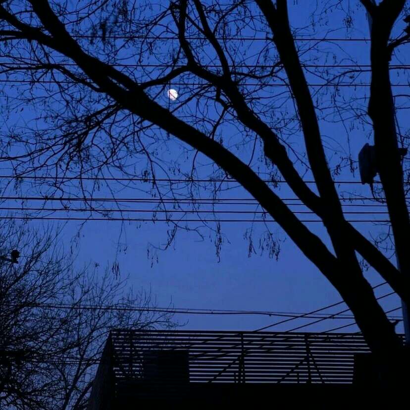 林徽因