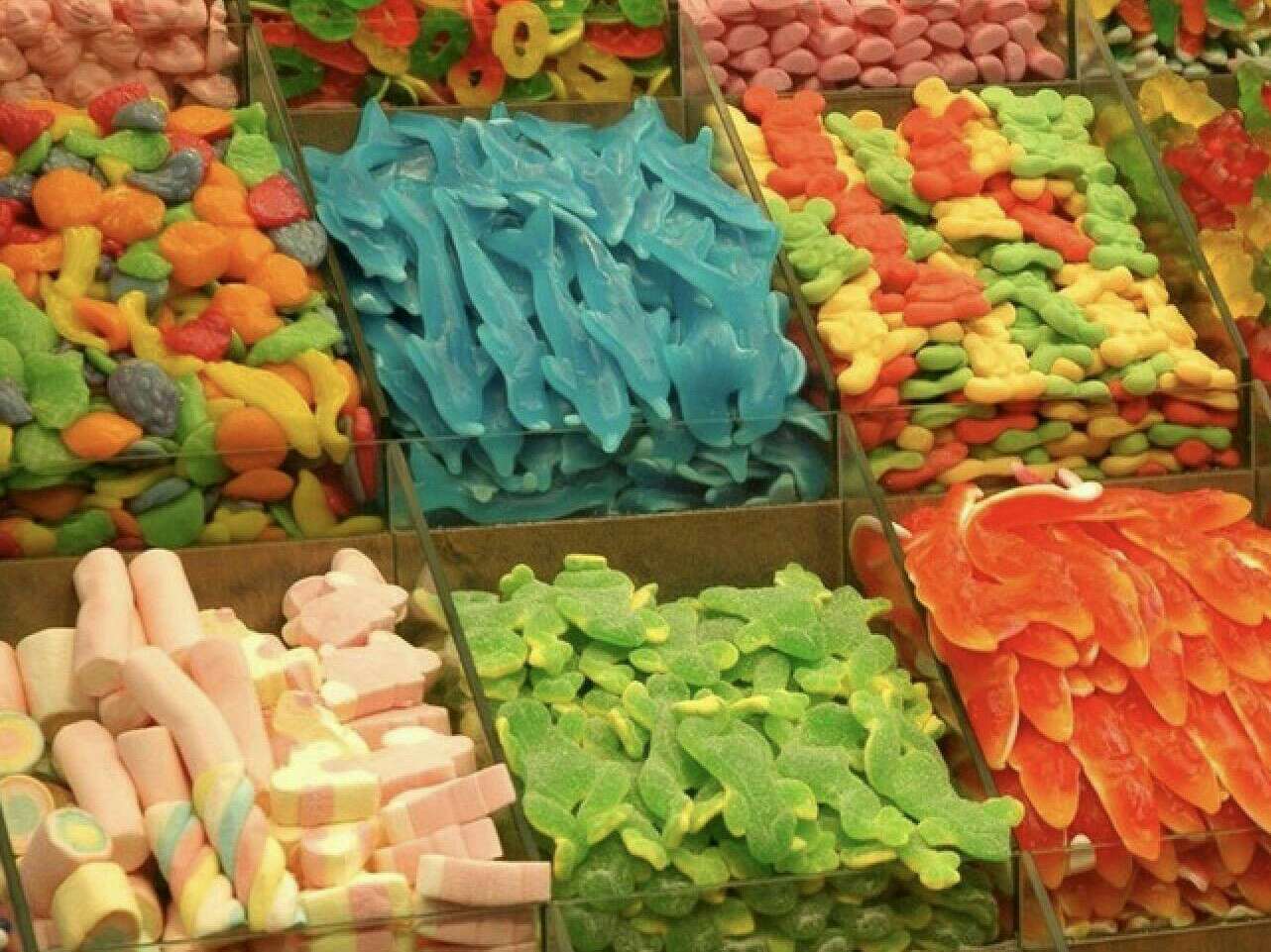 关于吃货的每日小记