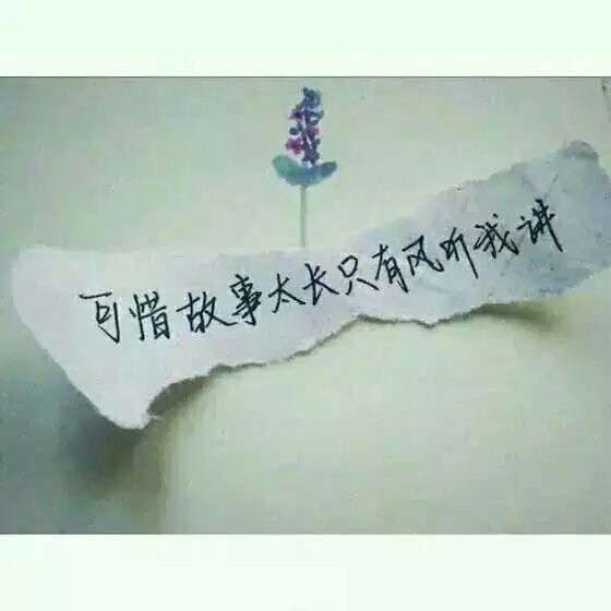 虐文书摘