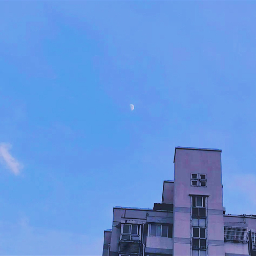 1003号的专辑