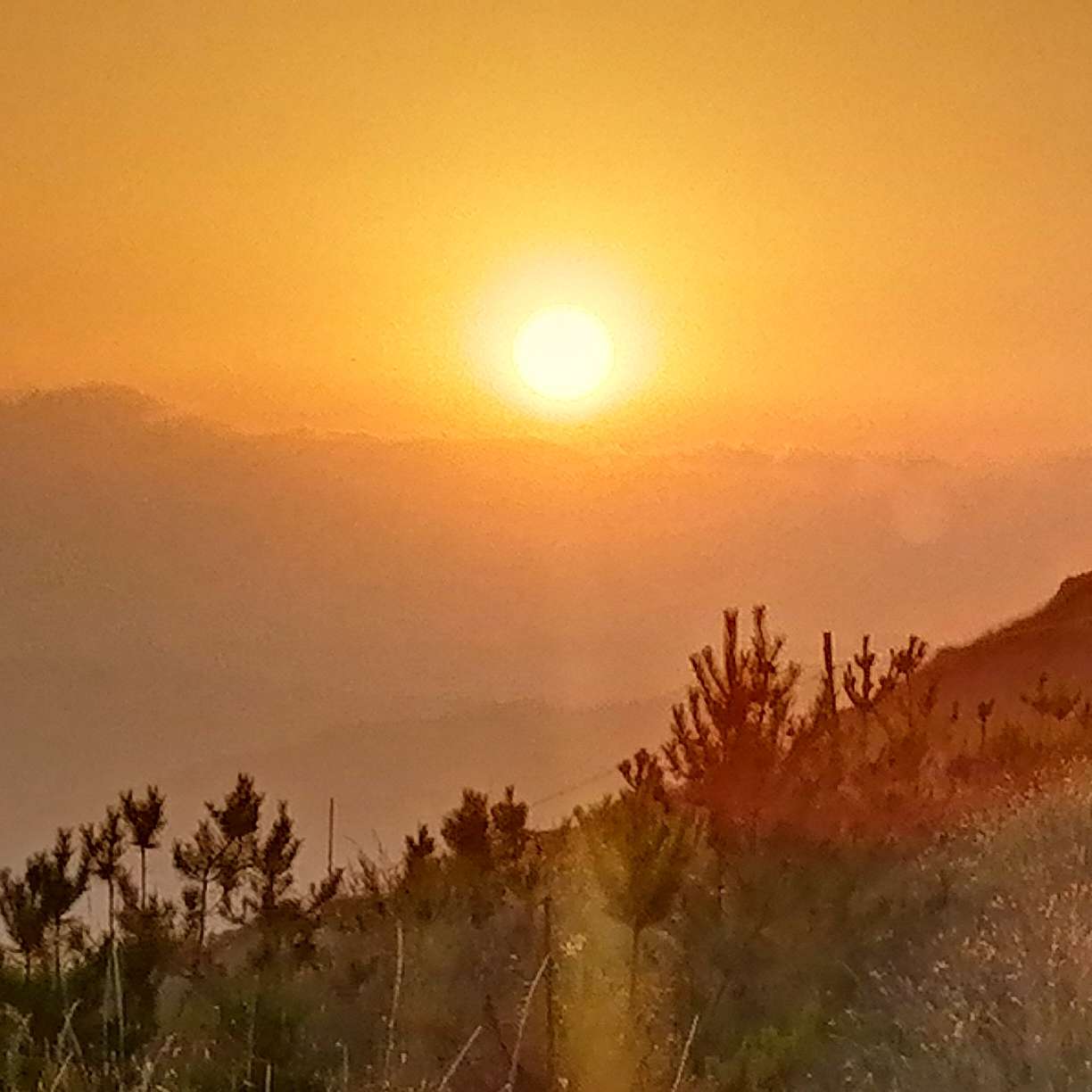 夕阳