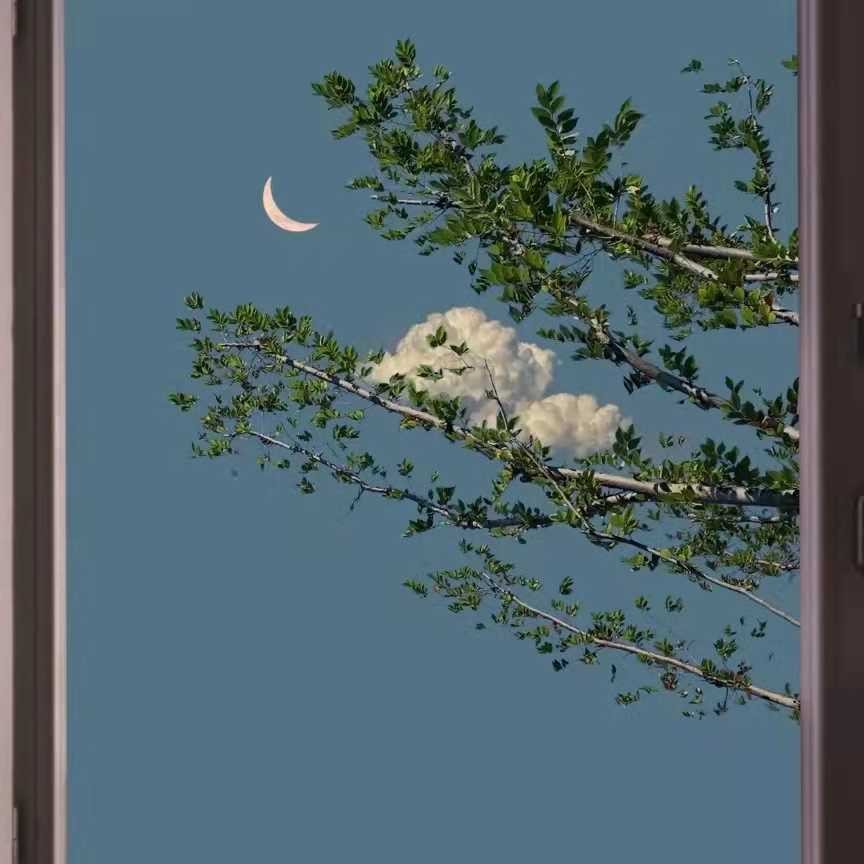 随心
