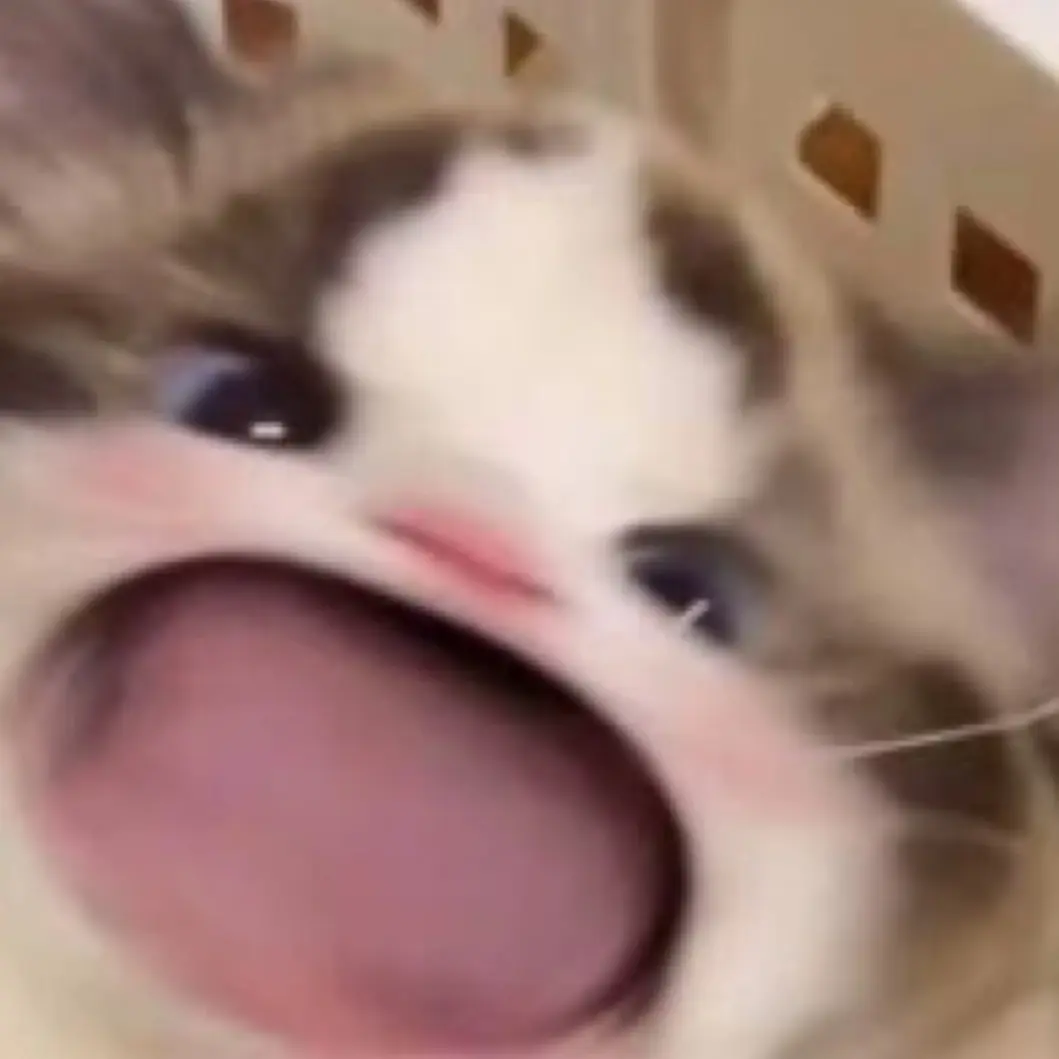 小黑