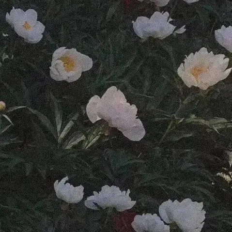 喂！雨心的歌词本