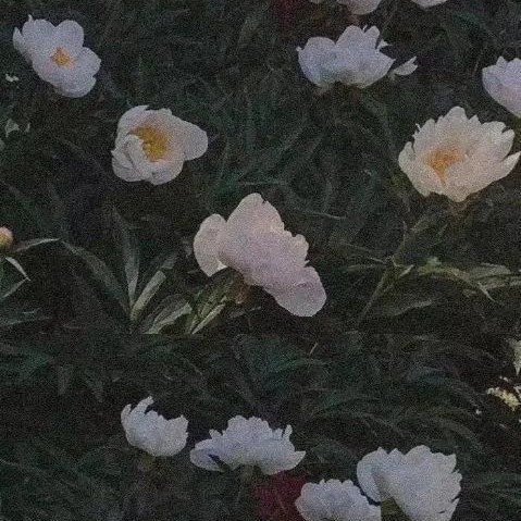 喂！雨心的歌词本