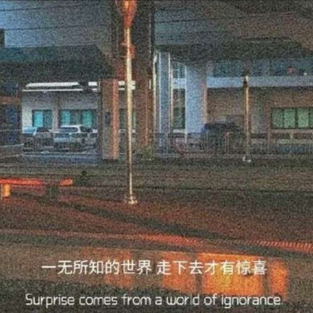 我的专辑