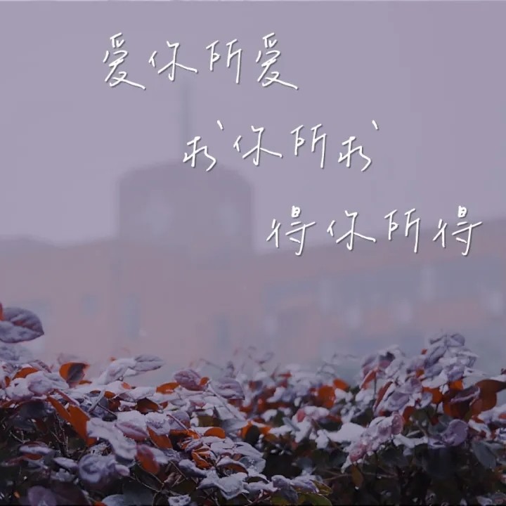 热爱生活