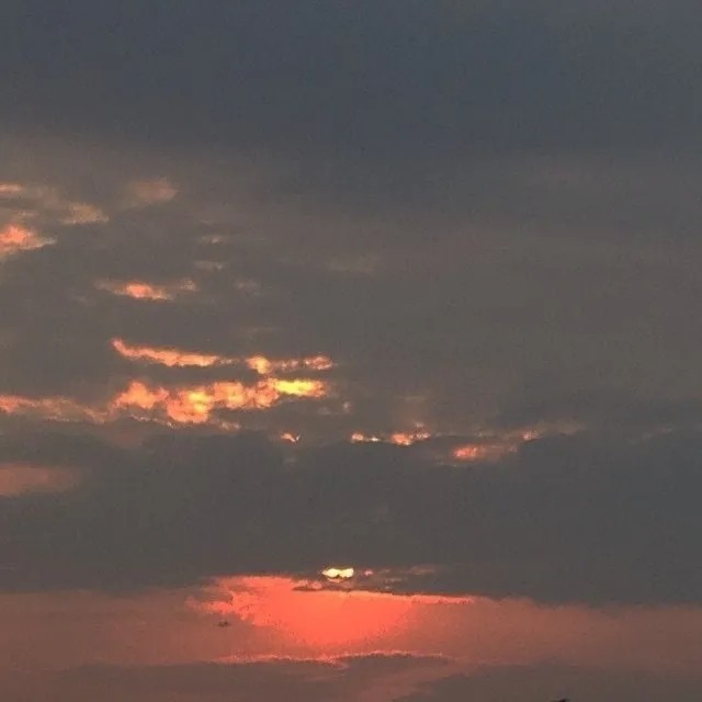春.的专辑