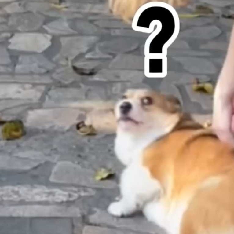 随心所欲