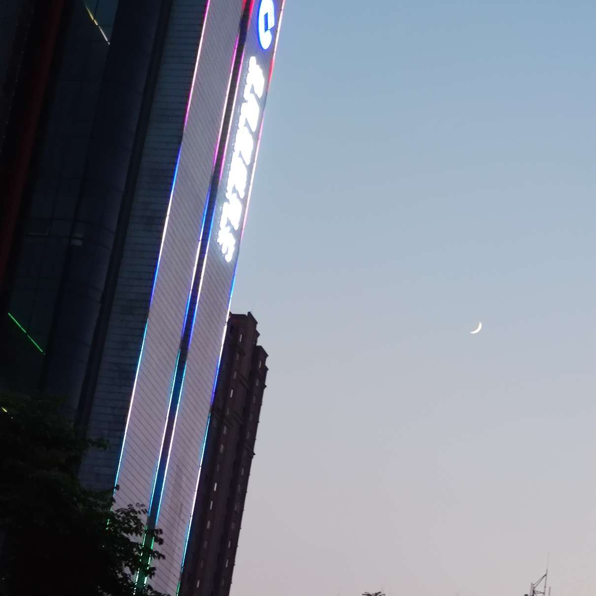 再见