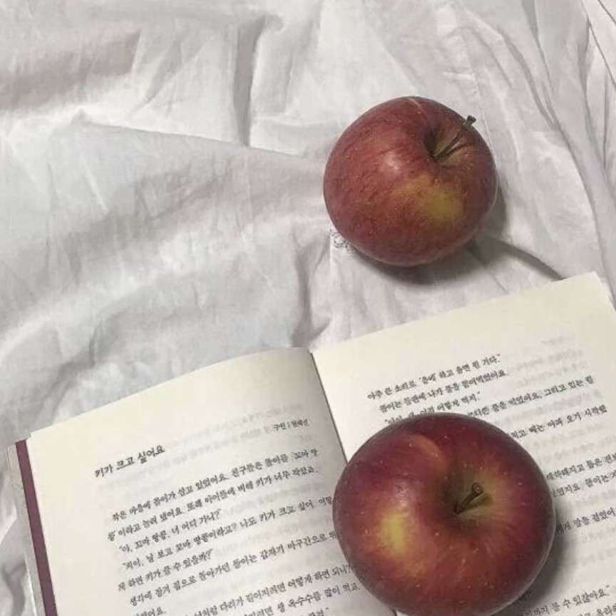 ✨的专辑
