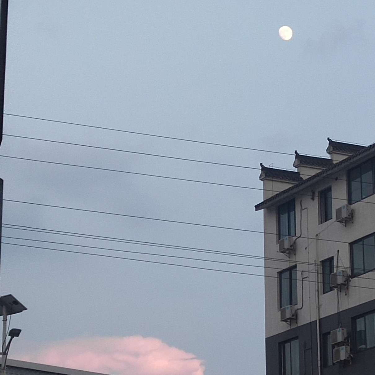 秦苒顾芒