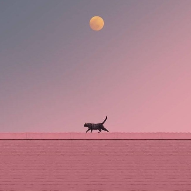 未来