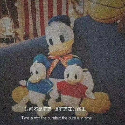 可温柔可励志