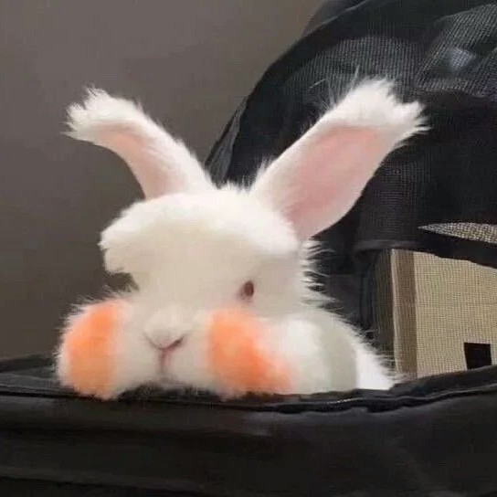杨婉瑶的专辑