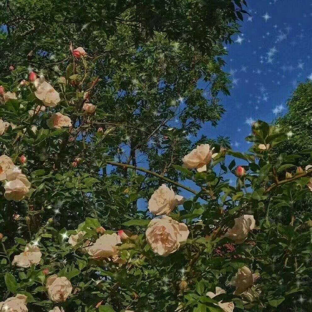 春