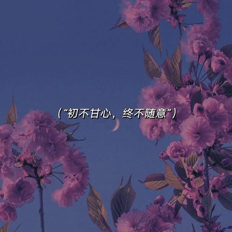 梦的专辑