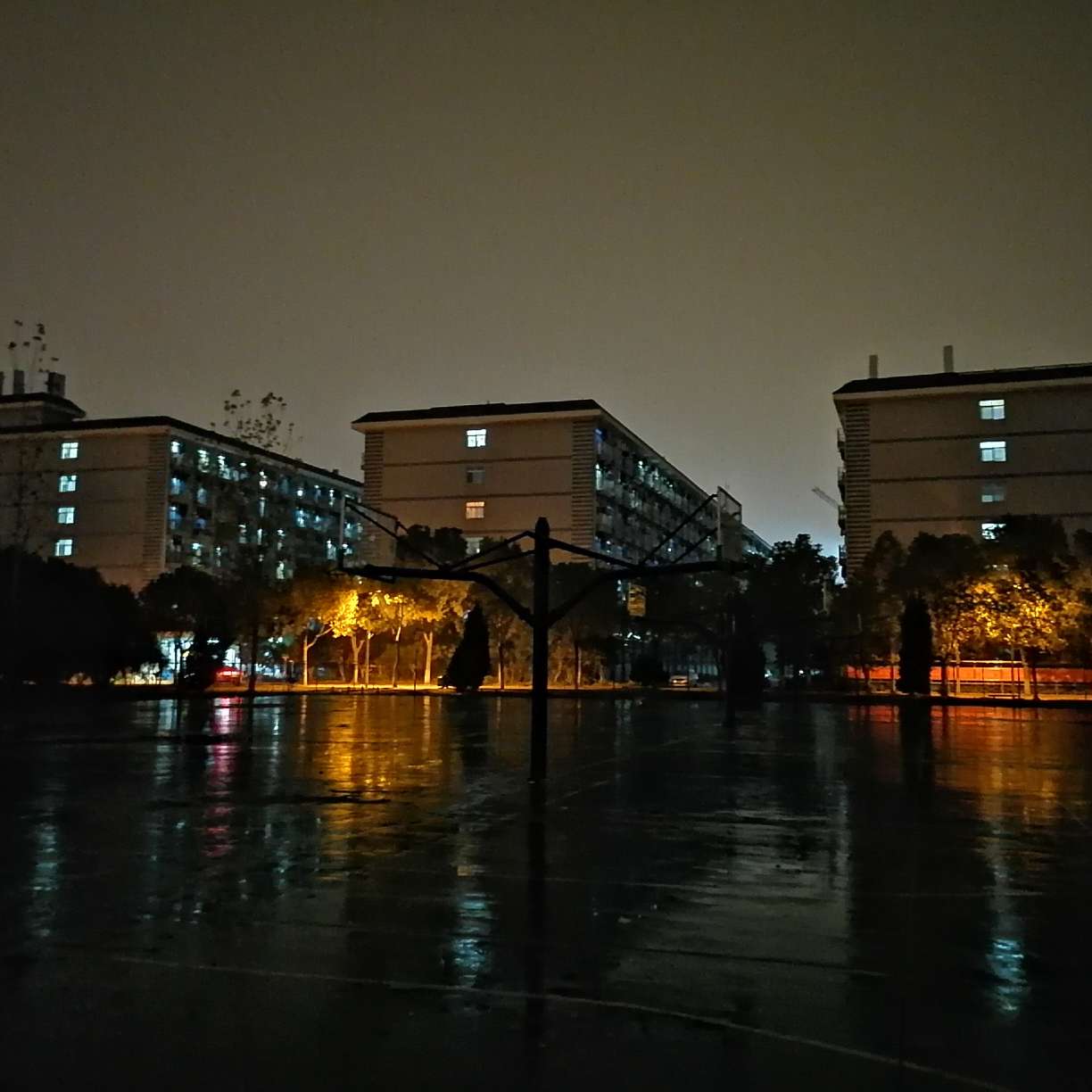 小直收藏馆