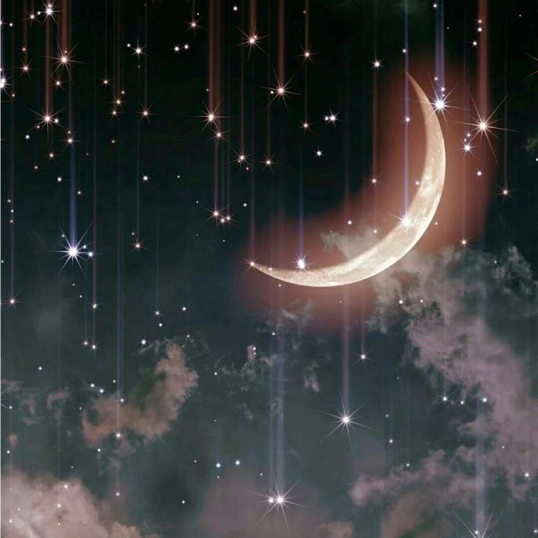 羁