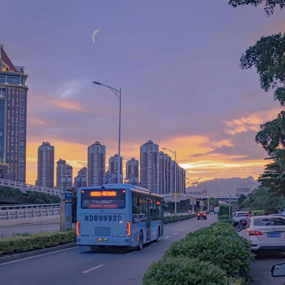 栀墨的专辑