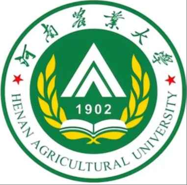 大学