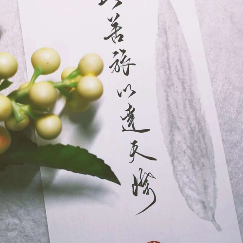 今日格言
