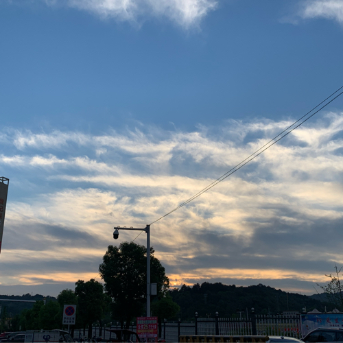 芝麻油的专辑